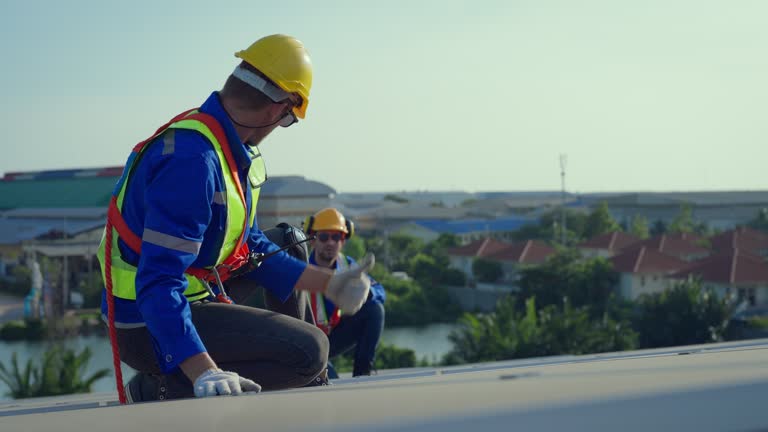 Best Solar Panel Roofing Installation  in Harlingen, TX